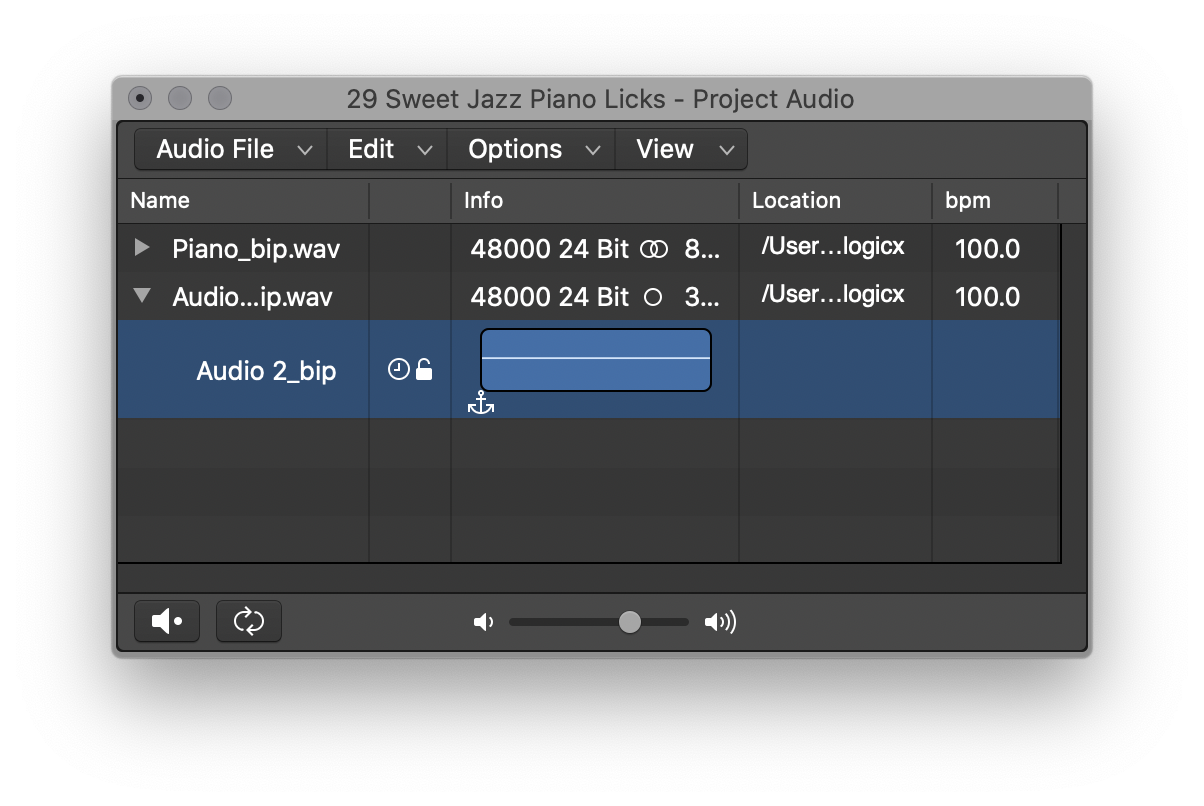 Shows the controls at the bottom of the Project Audio Browser window